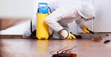 Why Should You Hire Professionals to Get Rid of Cockroaches in Your Home